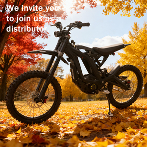 Moto pour adultes : pour les trajets urbains quotidiens, la moto pour adultes allie confort et commodité - Product Image 1