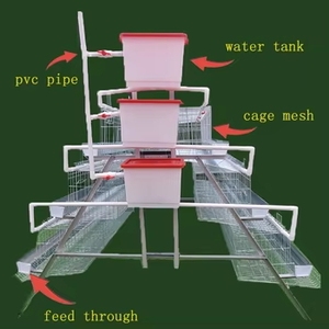 Cages à poules pondeuses de <span class=keywords><strong>type</strong></span> A, 3/4 niveaux, pour l'élevage de poules pondeuses et la production d'œufs en batterie, poulaillers pour l'élevage en ferme - Product Image 4