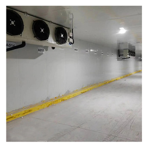 Equipo de refrigeración a gran escala, cámara frigorífica con capacidad de 10 toneladas <span class=keywords><strong>para</strong></span> matadero y salchichas, cámara frigorífica <span class=keywords><strong>para</strong></span> tocino - Product Image 1