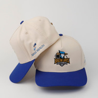 Casquette de baseball ajustable à 5 panneaux avec visière incurvée structurée, patch en PVC, unisexe, personnalisable