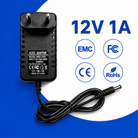 Adaptateur secteur AC/DC à montage mural polyvalent et fonctionnel, pointe CC 5,5x2,1 mm, 12 V 1 A 12 W, pour moniteur LCD et décodeur