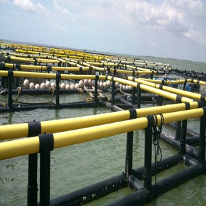 กรงเลี้ยงปลาแบบโมดูลาร์ทรงสี่เหลี่ยม HDPE พร้อมแท่นทำงานและตาข่าย - Product Image 1