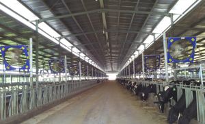 कृषि उपकरण दक्षता के लिए ऐप ऑटो समायोजित के साथ 38 इंच पोल्ट्री हाउस प्रशंसक - Product Image 3