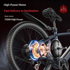Bicicleta Eléctrica de Montaña Sport F28 de 26 Pulgadas, 48V, Motor Central, Asistencia Eléctrica, Todoterreno, Alta Potencia, con Frenos de Disco - Product Image 2