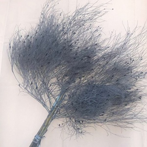 Hierba de Ensueño Preservada, Hierba Seca, 2-3 Piezas/Paquete, ETERNAL, 65-70 cm, Larga Duración, 3-5 Años, Ramo Natural para Manualidades, Centro de Mesa para Bodas - Product Image 6