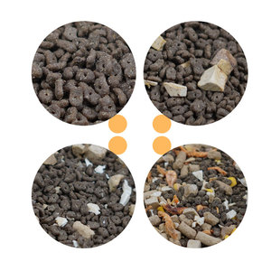 Free Samples <strong>Cheap</strong> Price Grain Free Various Shapes Formula Dry Cat <strong>Food</strong> - Product Image 3