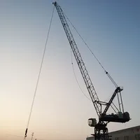 Grue à tour XGL300-20S à haute efficacité avec assemblage rapide, capacité de 20 tonnes, moteur et boîte de vitesses pour l'exploitation minière et la logistique portuaire