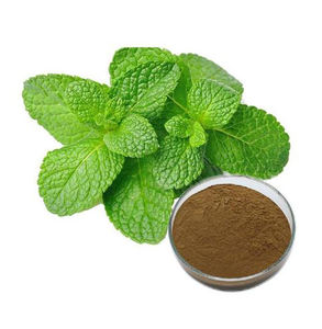 Поставка чистого натурального экстракта листьев мяты перечной в наличии экстракт Mentha Piperita экстракт герба менты по заводской цене - Product Image 2