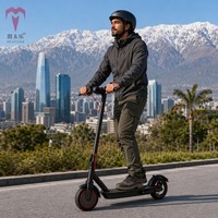 Trottinette électrique pliable 350W avec contrôle par application intelligente, roues de 9,1 pouces, frein à disque arrière, pneus alvéolés, 36V, pour adultes