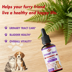 Complément alimentaire pour la santé de la vessie urinaire, marque privée OEM, gouttes à la canneberge pour chiens et chats, soin des infections urinaires chez les animaux de compagnie - Product Image 3