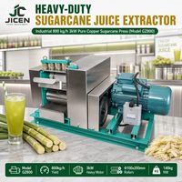 Suikerrietpersmachine 800kg/u Handmatige Extractor Fruitpers