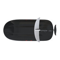 Expédition directe d'articles en stock Équipement d'amusement aquatique au lithium Sports nautiques