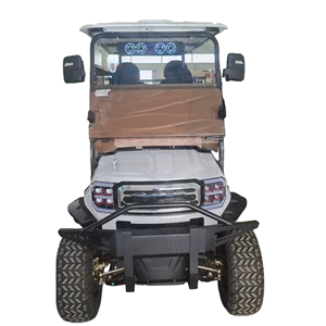 Navette électrique TONGCAI à <span class=keywords><strong>4</strong></span> places, silencieuse et confortable, pour les villages <span class=keywords><strong>de</strong></span> retraite et les centres <span class=keywords><strong>de</strong></span> soins aux personnes âgées - Product Image 1