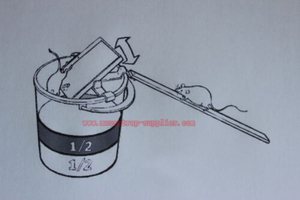 Piège à souris automatique intérieur/extérieur en plastique ABS écologique, à réinitialisation automatique, pour le contrôle des rats - Product Image 4