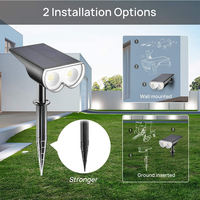 Projecteur LED étanche IP67 de haute qualité, design breveté, petit éclairage solaire pour jardin et pelouse, alimenté par batterie au lithium, montage mural 300