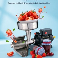 Top gewaardeerde automatische mini elektrische fruitpers met motor van roestvrij staal voor het maken van tomatenpuree voor ontbijt & bakken