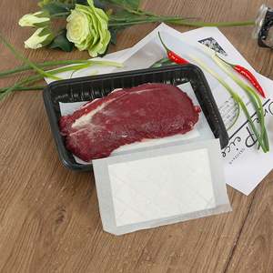 Almohadillas Absorbentes Desechables de Papel de Grado Alimenticio Ecológicas de 60ml/unidad, 170x100mm, para Envasado de Carne y Agua con Impresión - Product Image 3