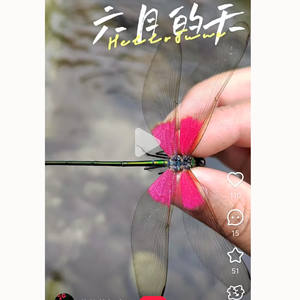 Belle décoration de libellule en métal bon cadeau pour mère et amis - Product Image 6