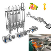 Kant-En-Klare Oplossing Citrusvruchten Oranje Citroen Ananas Passievruchtensap Maken Machine Productielijn