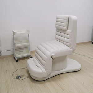 Luxury Modern Style Pink Double Column Electric Beauty Massage <b>Bed</b> New Style Facial <b>Lash</b> <b>Bed</b> Made of Synthetic Leather - Product Image 2