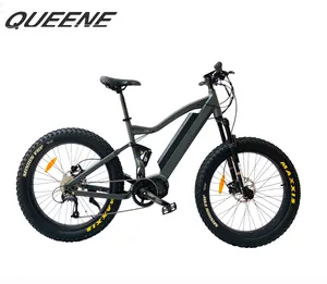 QUEENE/venda Quente 1000W motor de meados de carro pneu gordura bicicleta elétrica e pedelec