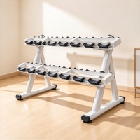 Support de rangement pour haltères à double niveau en acier robuste pour salle de sport commerciale et équipement de fitness à domicile