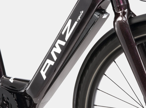 Vélo électrique de ville OEM Wins <span class=keywords><strong>Easylife</strong></span>, moteur 48V 350W, freins à disque hydrauliques à <span class=keywords><strong>2</strong></span> pistons, vélo électrique léger - Product Image 2