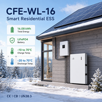 Batterie solaire LFP4 16kWh 10kWh 5kWh 51.2V 314Ah CFE-WL-16 compatible Solis pour système ESS résidentiel CE CB OEM
