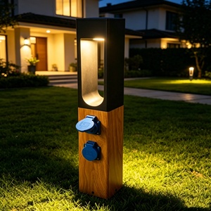 Lámpara Decorativa de Jardín Moderna de Acero Inoxidable de Alta Gama con Enchufe, Resistente al Agua, para Paisajes y Césped, IP65, Reflector - Product Image 2