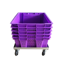 Caisse de stockage de tomates empilable de 50 kg en maille HDPE vierge recyclable