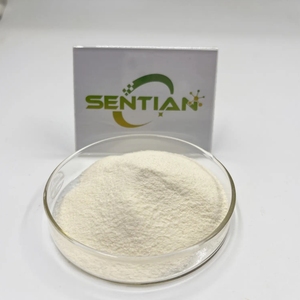 Protéase de riz Poudre d'enzymes Protéase de riz Enzyme Peptide de protéine de riz pour la récupération d'énergie - Product Image 3