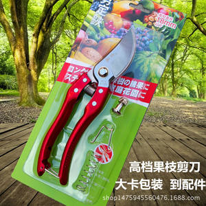 กรรไกรตัดแต่งกิ่งเหล็ก SK5 ผลิตเอง หัวใหญ่ ใบมีด 50 มม. ด้ามจับกันลื่น เครื่องมือทำสวน สำหรับตัดกิ่งไม้ผลไม้ขนาดใหญ่ - Product Image 5