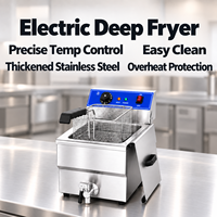 Commerciële elektrische friteuse met dubbele bak, 13L, 5KW, aanrechtmodel, roestvrij staal, 2 manden, temperatuurregeling voor restaurants