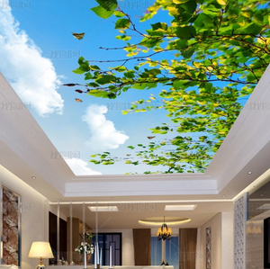 Material de decoración Interior impermeable <span class=keywords><strong>para</strong></span> el hogar, diseño de Paloma del cielo, techo elástico de plástico Pvc <span class=keywords><strong>para</strong></span> sala de <span class=keywords><strong>cocina</strong></span> - Product Image 1