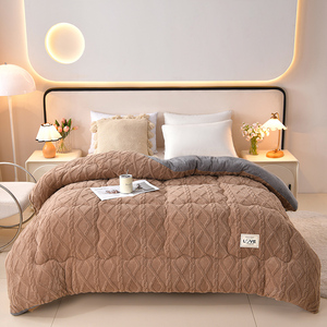 Couette d'hiver en polaire d'agneau unie, anti-boulochage, antistatique, chaude, confortable, super douce et épaisse, vente en gros. - Product Image 5