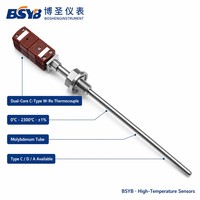 C-Type W-Re Dual Core Thermocouple Molybdenum Tube 0-2300 deg C +/-1% for Ultra-High Temperature Application