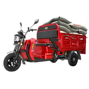 JINPENG EEC-COC Electric Tricycle 3 Wheel Cargo Electric Tricycle Spring Steel Box Frame Power Use Cheap Price