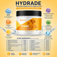 Poudre de supplément d'hydratation pour chiens sous marque privée, soutien électrolytique et de récupération, boisson énergétique aux acides aminés pour chiens actifs, OEM personnalisé