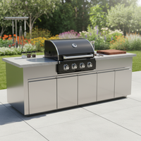 Barbecue extérieur moderne à double combustible gaz-charbon de 24,5 pouces, 4 brûleurs, 40 000 BTU, haute puissance calorifique, acier inoxydable, grande surface de cuisson