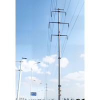 Tour de transmission électrique longue distance multi-usages à poteau unique pour télécommunications entièrement personnalisable