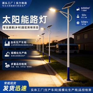 Lampadaire solaire 6 mètres avec poteau haute puissance pour zones rurales, usines, zones résidentielles, parcs, double tête - Product Image 2