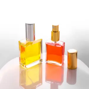 2022 작은 공상 주문 로고 유행 장방형 Parfum Botol 빈 매끄러운 펌프 살포 안개 50ml 100ml 유리제 향수병