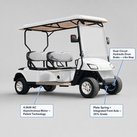 Voiturette de golf électrique 4 places avec moteur asynchrone AC, frein à tambour hydraulique double circuit, capacité de montée de 25 %, sans entretien, Colloidal Golf