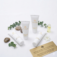 Shampooing de luxe pour hôtel, en plastique, jetable, en gros, OEM, logo personnalisé, format voyage, rafraîchissant, hydratant, nettoyant capillaire, 5 étoiles