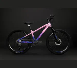 SUNPEED 20/24 인치 산악 자전거-경량 알루미늄 프레임이 있는 어린이용 자전거, 소년 및 기어에 적합한 9 단 기어