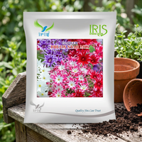 Semences de fleurs Iris Phlox Star Mix, pollinées en libre accès, plantes arborescentes importées, couleurs mélangées, 300/900/1500 graines, pour le jardinage
