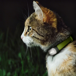 ปลอกคอสัตว์เลี้ยงอัจฉริยะ กันน้ำ ทนทาน แบตเตอรี่ 1000mAh วัสดุ ABS 3 ขนาด <span class=keywords><strong>XS</strong></span> M XL แบตเตอรี่ใช้งานได้นาน ระบบติดตามสัตว์เลี้ยง สีตามสั่ง - Product Image 3