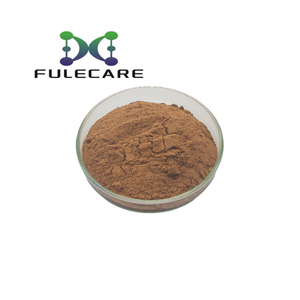 Tự nhiên xương rồng chiết xuất từ quả bột Xương Rồng bột trái cây - Product Image 2