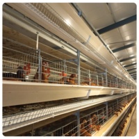 Vente en gros de cages à oiseaux automatiques à étages, modèle MT, nouveau modèle, garantie 1 an, acier galvanisé à chaud, usine du Shandong
