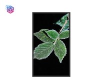Écran LCD de 49 pouces pour fenêtre, résistance aux hautes températures et dissipation thermique élevée, 5000 nits, intérieur